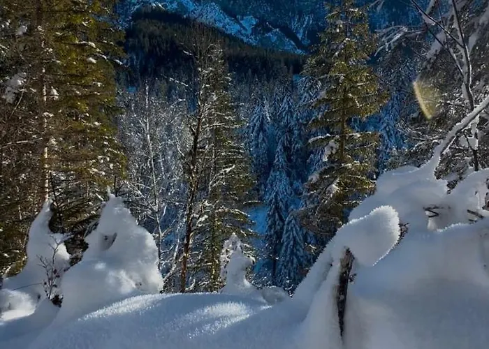 Haus Mit Wunderschoenem Ausblick Und Garten 펜션